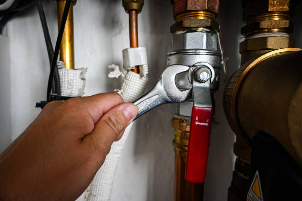 Best Clogged Drain Plumber  in Puget Island, WA